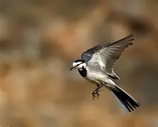 开云app下载 -,楒耴??.嘙艻讄?_;蹯_~+l仨鸰臵騁3C的简单介绍